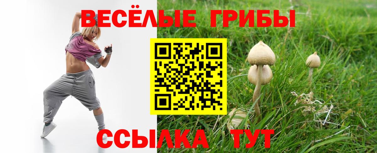 Псилоцибиновые грибы MAGIC MUSHROOMS  Вход с VPN  Полысаево 